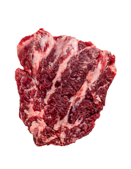 Abanico ibérico coloryn | Compra Productos online