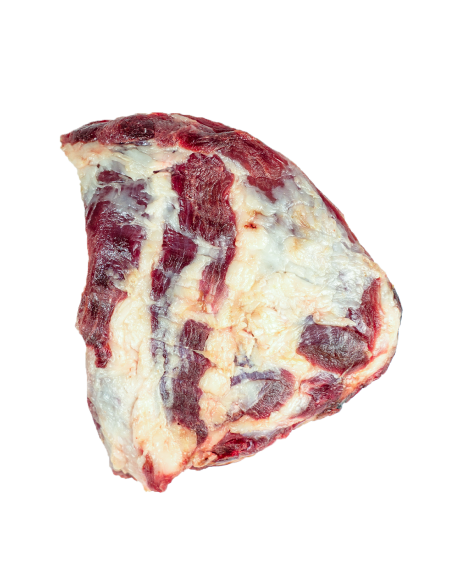 Cabezada ibérica coloryn | Compra Productos online